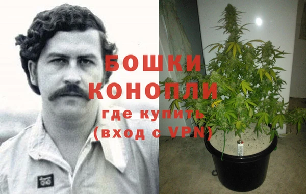 дживик Баксан